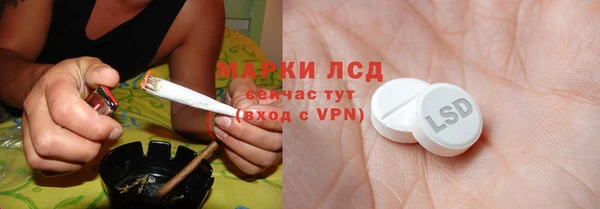 твердый Протвино
