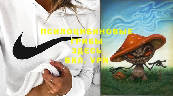 мдпв Пролетарск