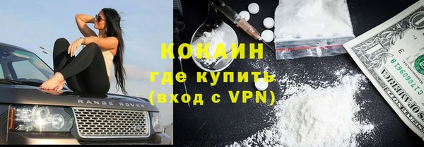 твердый Протвино