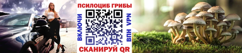 Купить где  Закаменск  Галлюциногенные грибы GOLDEN TEACHER 